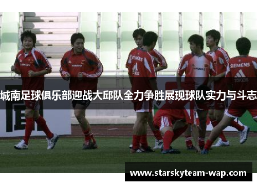 城南足球俱乐部迎战大邱队全力争胜展现球队实力与斗志