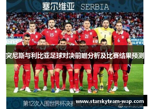 突尼斯与利比亚足球对决前瞻分析及比赛结果预测