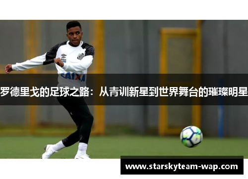 罗德里戈的足球之路：从青训新星到世界舞台的璀璨明星
